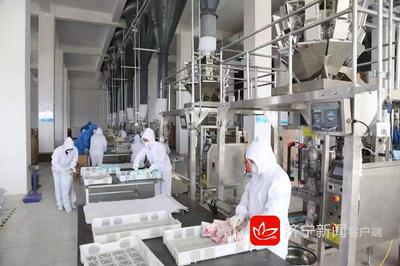 2019年濟(jì)寧市新舊動(dòng)能轉(zhuǎn)換現(xiàn)場(chǎng)觀摩團(tuán)走進(jìn)嘉祥